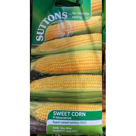 Sweet Corn Seeds - Moonshine F1