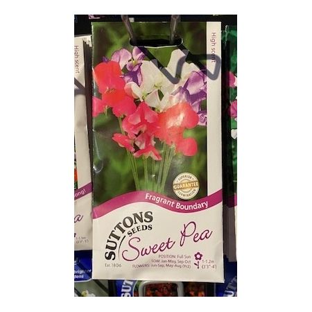 Sweet Pea Seeds - Fragrant Boundary