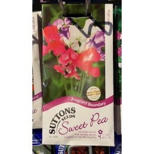 Sweet Pea Seeds - Fragrant Boundary
