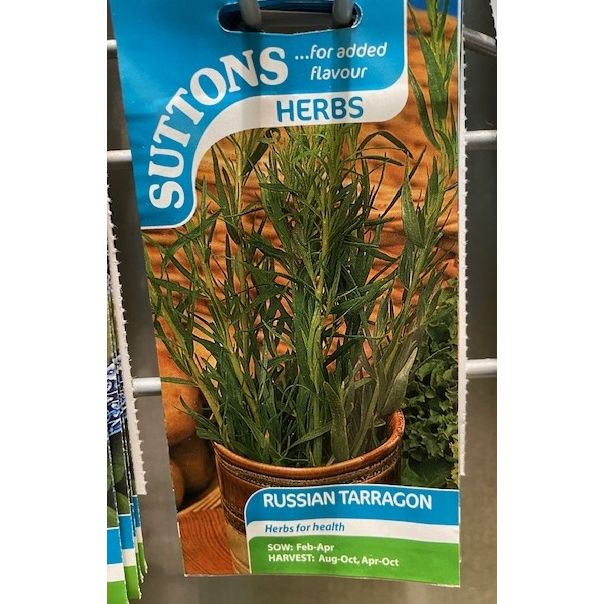 Herb Seed Tarragon Russian Welland Vale Garden Inspirations Uppingham