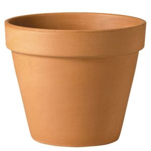 Verona Standard Pot 11cm